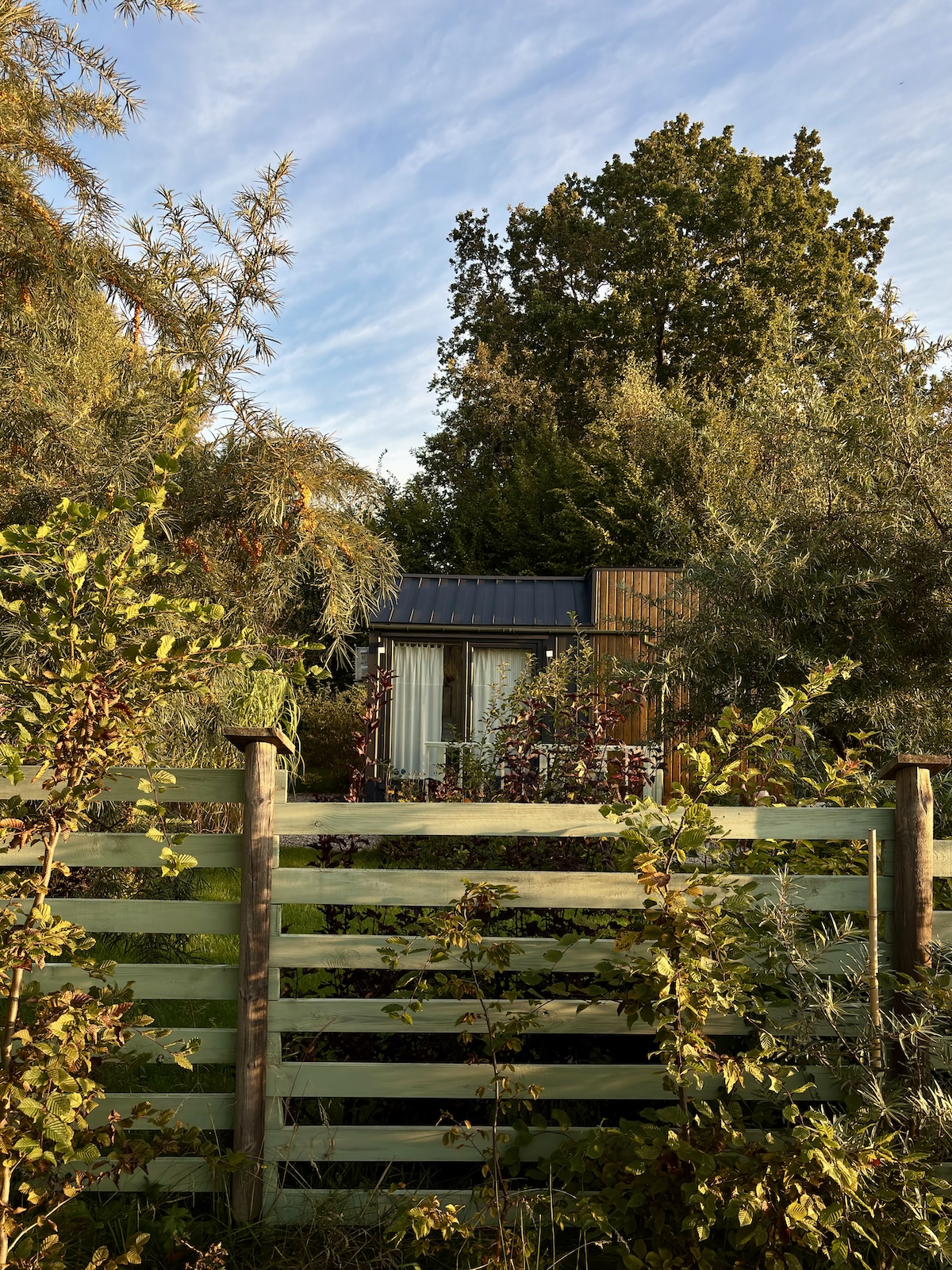 Otoczenie domku w lecie