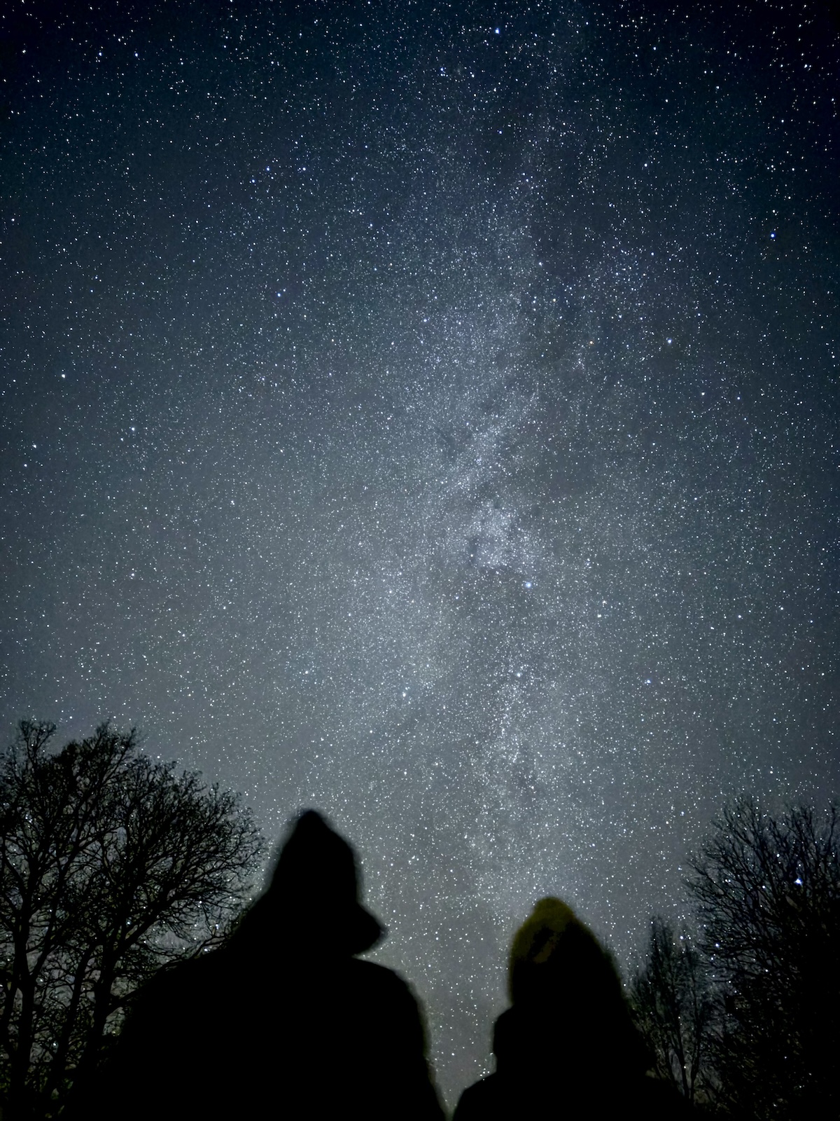 Ognisko pod Gwiazdami